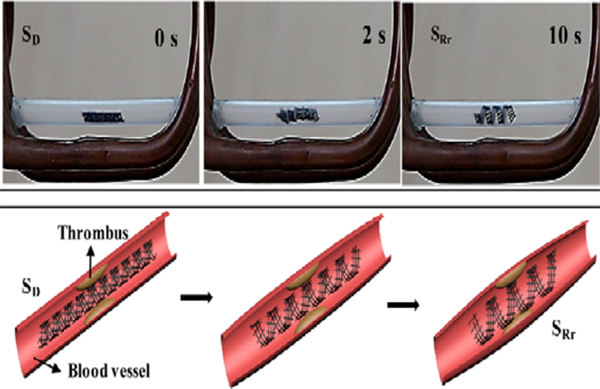 圖片4.png 圖片4.png