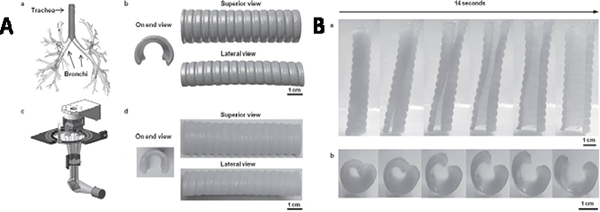 圖片7.png 圖片7.png