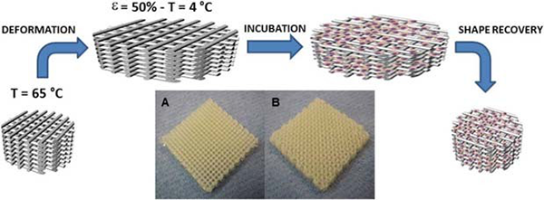 圖片10.png 圖片10.png