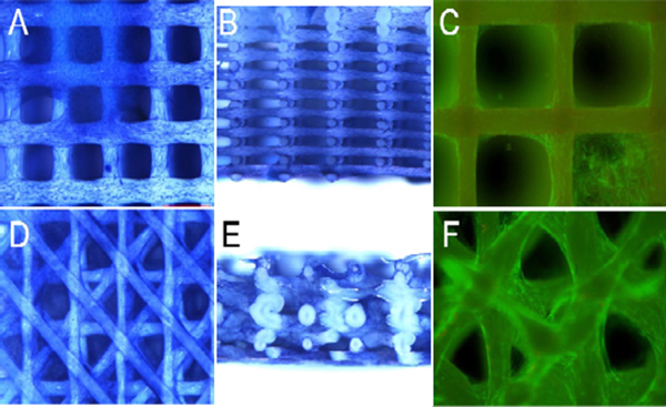 圖片11.jpg 圖片11.jpg