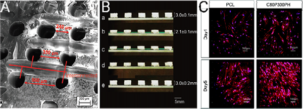 圖片12.png 圖片12.png