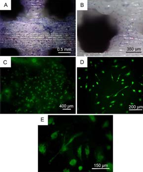 圖片14.png 圖片14.png