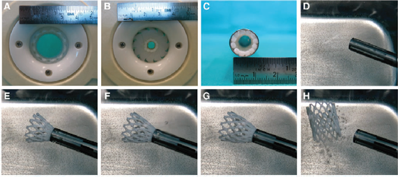 圖片15.png 圖片15.png